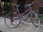 Click image for larger version. 

Name:	pink mixte 003.jpg 
Views:	2146 
Size:	66.0 KB 
ID:	4512
