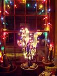 Click image for larger version.&nbsp;

Name:	xmascactus_2small.jpg&nbsp;
Views:	381&nbsp;
Size:	176.7 KB&nbsp;
ID:	4999