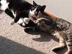 Click image for larger version.&nbsp;

Name:	106_0625.jpg&nbsp;
Views:	880&nbsp;
Size:	97.6 KB&nbsp;
ID:	5381