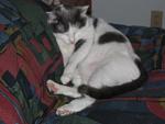 Click image for larger version.&nbsp;

Name:	100_0001.jpg&nbsp;
Views:	872&nbsp;
Size:	38.7 KB&nbsp;
ID:	5382