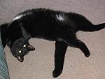 Click image for larger version.&nbsp;

Name:	IMG_1841.jpg&nbsp;
Views:	779&nbsp;
Size:	65.0 KB&nbsp;
ID:	5386