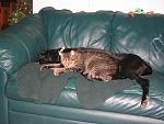 Click image for larger version.&nbsp;

Name:	100_0027.jpg&nbsp;
Views:	832&nbsp;
Size:	66.5 KB&nbsp;
ID:	5387