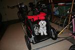 Click image for larger version.&nbsp;

Name:	IMG_4825 (Small).JPG&nbsp;
Views:	271&nbsp;
Size:	44.5 KB&nbsp;
ID:	5705