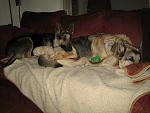 Click image for larger version. 

Name:	IMG_4057.jpg 
Views:	393 
Size:	75.5 KB 
ID:	5763