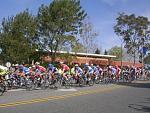 Click image for larger version.&nbsp;

Name:	TofC 06 Stage 6 Peloton.jpg&nbsp;
Views:	276&nbsp;
Size:	36.8 KB&nbsp;
ID:	610