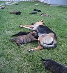 Click image for larger version. 

Name:	IMG_4328.jpg 
Views:	323 
Size:	166.6 KB 
ID:	6304