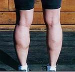 Click image for larger version.&nbsp;

Name:	tree trunks TE.jpg&nbsp;
Views:	346&nbsp;
Size:	12.2 KB&nbsp;
ID:	675