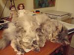 Click image for larger version.&nbsp;

Name:	creature_2.jpg&nbsp;
Views:	671&nbsp;
Size:	184.2 KB&nbsp;
ID:	6790