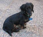 Click image for larger version.&nbsp;

Name:	Truffles3.jpg&nbsp;
Views:	866&nbsp;
Size:	54.5 KB&nbsp;
ID:	7012
