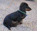 Click image for larger version.&nbsp;

Name:	Truffles4.jpg&nbsp;
Views:	886&nbsp;
Size:	53.9 KB&nbsp;
ID:	7014