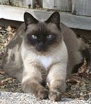Click image for larger version.&nbsp;

Name:	Jazz.jpg&nbsp;
Views:	1305&nbsp;
Size:	46.1 KB&nbsp;
ID:	7015