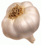 Click image for larger version.&nbsp;

Name:	garlic-bulb_d.gif&nbsp;
Views:	612&nbsp;
Size:	28.1 KB&nbsp;
ID:	7416