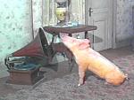 Click image for larger version.&nbsp;

Name:	Arnold pig.jpg&nbsp;
Views:	571&nbsp;
Size:	22.2 KB&nbsp;
ID:	7419