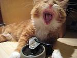Click image for larger version.&nbsp;

Name:	IMG_1028_web.jpg&nbsp;
Views:	546&nbsp;
Size:	81.7 KB&nbsp;
ID:	7448
