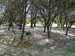 Click image for larger version.&nbsp;

Name:	PA120008.jpg&nbsp;
Views:	327&nbsp;
Size:	157.7 KB&nbsp;
ID:	7460