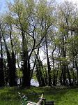 Click image for larger version.&nbsp;

Name:	Woods.jpg&nbsp;
Views:	322&nbsp;
Size:	191.0 KB&nbsp;
ID:	7463
