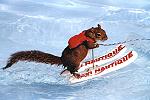 Click image for larger version.&nbsp;

Name:	twiggy3.jpg&nbsp;
Views:	355&nbsp;
Size:	58.2 KB&nbsp;
ID:	7647