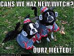 Click image for larger version.&nbsp;

Name:	loldogs-neednewwitch.jpg&nbsp;
Views:	695&nbsp;
Size:	131.9 KB&nbsp;
ID:	7662