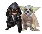 Click image for larger version.&nbsp;

Name:	yodapollo.JPG&nbsp;
Views:	687&nbsp;
Size:	15.4 KB&nbsp;
ID:	7664
