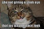 Click image for larger version.&nbsp;

Name:	LOL stink eye.jpg&nbsp;
Views:	6737&nbsp;
Size:	37.5 KB&nbsp;
ID:	7718