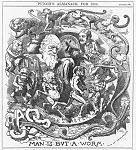 Click image for larger version.&nbsp;

Name:	Darwin-Worm.jpg&nbsp;
Views:	587&nbsp;
Size:	176.2 KB&nbsp;
ID:	7949