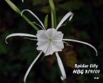 Click image for larger version.&nbsp;

Name:	img3.jpg&nbsp;
Views:	345&nbsp;
Size:	41.4 KB&nbsp;
ID:	7970