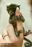 Click image for larger version.&nbsp;

Name:	vampire-monkey.jpg&nbsp;
Views:	393&nbsp;
Size:	31.0 KB&nbsp;
ID:	7972