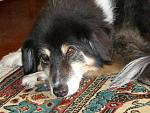 Click image for larger version.&nbsp;

Name:	nala.jpg&nbsp;
Views:	702&nbsp;
Size:	57.8 KB&nbsp;
ID:	8114