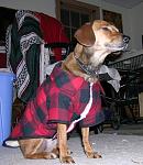 Click image for larger version.&nbsp;

Name:	DSCN1194Move-1.JPG&nbsp;
Views:	641&nbsp;
Size:	95.6 KB&nbsp;
ID:	8145