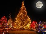 Click image for larger version.&nbsp;

Name:	523834701vaIFpa_ph.jpg&nbsp;
Views:	569&nbsp;
Size:	82.1 KB&nbsp;
ID:	8237