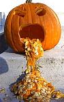 Click image for larger version.&nbsp;

Name:	pumpkin-vomit.jpg&nbsp;
Views:	938&nbsp;
Size:	24.3 KB&nbsp;
ID:	8244