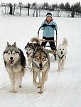 Click image for larger version.&nbsp;

Name:	dogsled.jpg&nbsp;
Views:	516&nbsp;
Size:	20.7 KB&nbsp;
ID:	8258