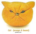 Click image for larger version.&nbsp;

Name:	FruitArt_Cat.jpg&nbsp;
Views:	328&nbsp;
Size:	24.5 KB&nbsp;
ID:	8317