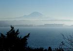 Click image for larger version. 

Name:	rainier jan 18 08 ride.jpg 
Views:	312 
Size:	43.6 KB 
ID:	8435