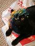 Click image for larger version.&nbsp;

Name:	DSC00061.JPG&nbsp;
Views:	546&nbsp;
Size:	141.8 KB&nbsp;
ID:	9102