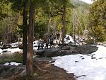 Click image for larger version. 

Name:	forest4.jpg 
Views:	380 
Size:	42.5 KB 
ID:	9286