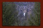 Click image for larger version. 

Name:	waterfall.jpg 
Views:	376 
Size:	33.0 KB 
ID:	9287