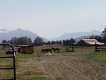 Click image for larger version.
Name: cs_farm2.jpg
Views: 352
Size: 48.7 KB
ID: 9948