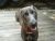 TwoWeims's Avatar