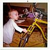 rapid cycler's Avatar