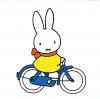 BikeDutchess's Avatar