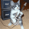 RockChickRides's Avatar