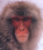 lph's Avatar