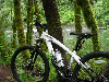 forestbiker's Avatar