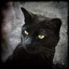 Sahdee's Avatar